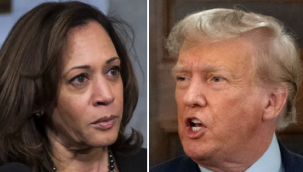 Neither Harris nor Trump would make an ideal president.